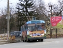 238.JPG
