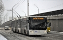 2659_5~0.JPG