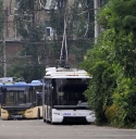 2659_tred2.JPG