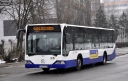 2815_9.JPG