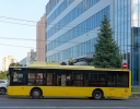 3356_22k.jpg