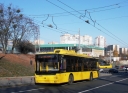 3373.JPG