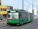 4032_.JPG