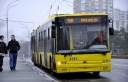 4317_50k_.JPG