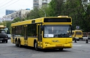 4517.JPG