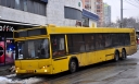 4517_28tr.JPG