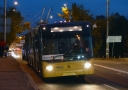 4612.JPG
