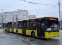 4615.JPG