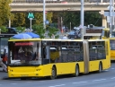 4615_36tr.JPG