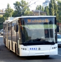 4642.JPG