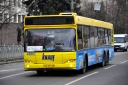 4801.JPG