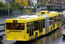 4806.JPG