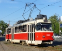 5389_15.JPG
