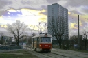 5544_15.JPG