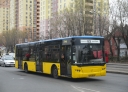 7248.JPG