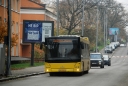 AA_2546_AA.JPG