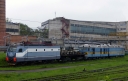 VL11m6-484_2B_DE1-005.JPG