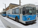1866492.jpg