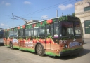 65241.JPG